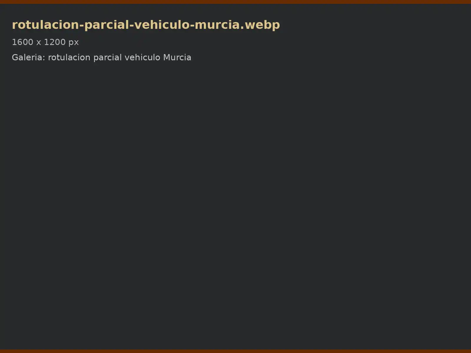 Rotulación parcial de vehículo en Murcia
